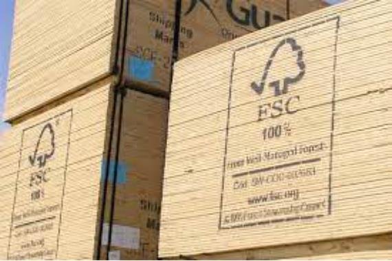 kabinet renovasi rumah Forest Stewardship Council